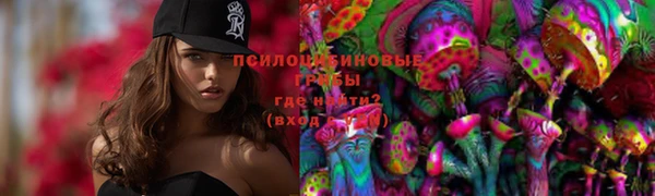 прущие крисы Нефтекумск